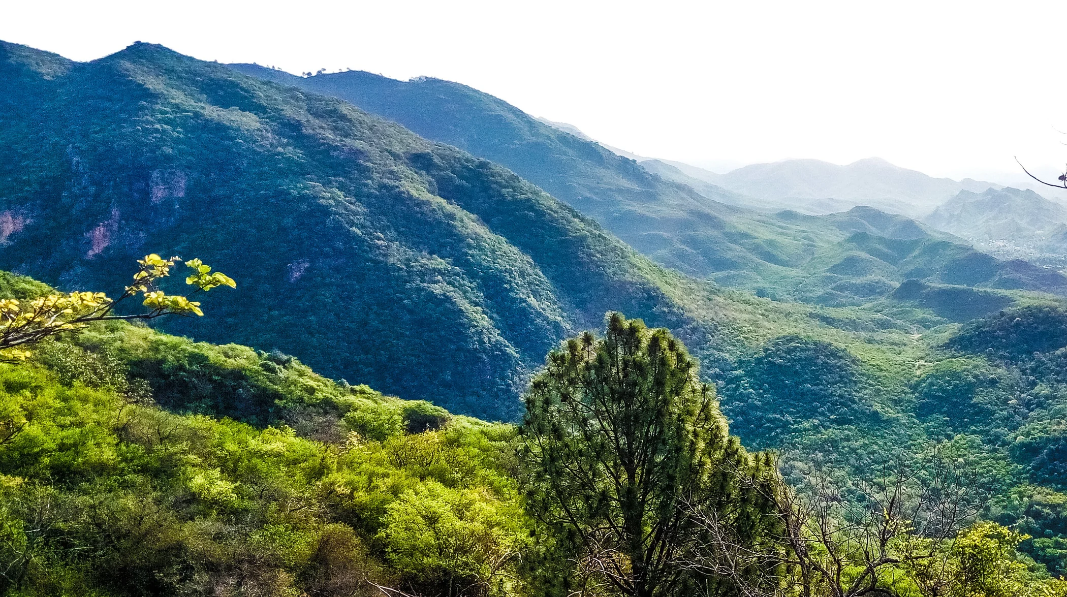 The forested ridges of the Margalla Hills in Islamabad